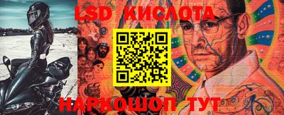 spice Камышлов