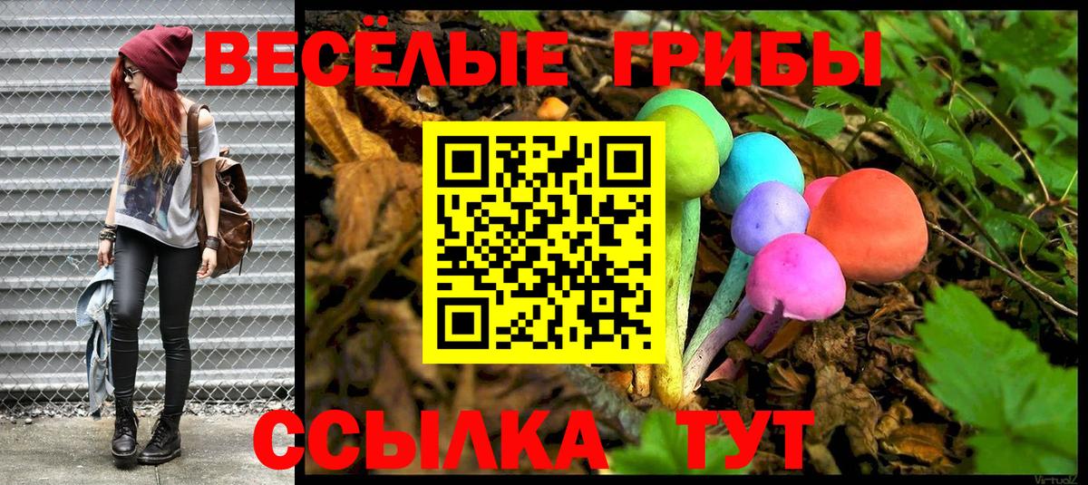 Псилоцибиновые грибы прущие грибы Озёрск