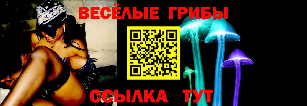 Озёрск  Псилоцибиновые грибы прущие грибы  Вход с VPN 