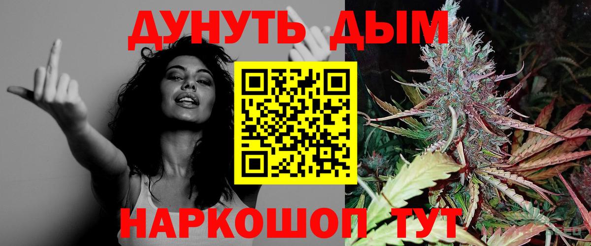 Конопля сатива Озёрск